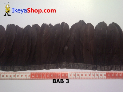 Bulu angsa BAB 3   feather  large2